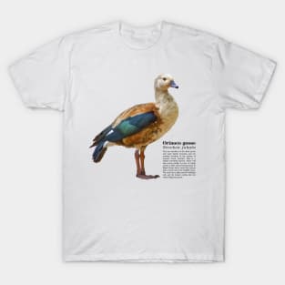 Orinoco goose tropical bird black text T-Shirt